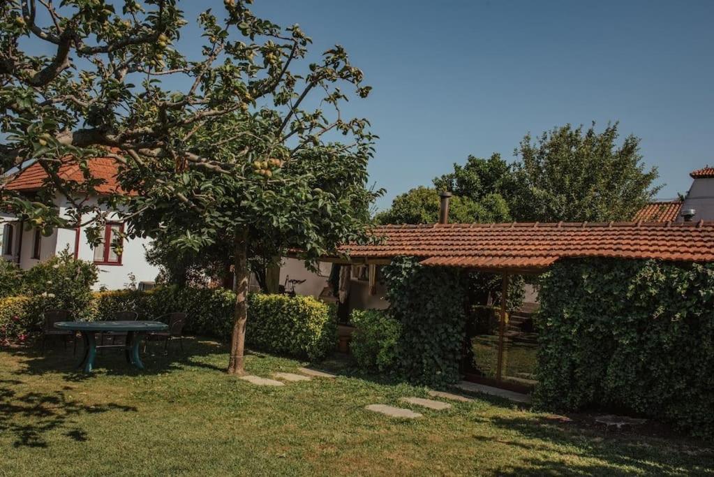 Casa De Marlaes Villa Lousada Exterior photo