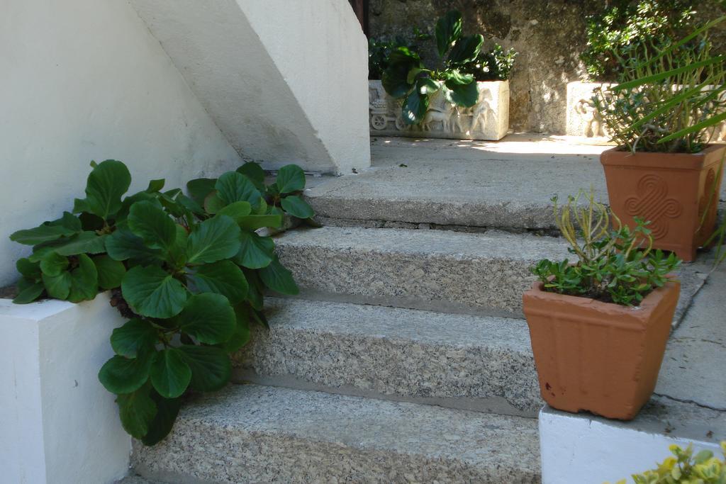 Casa De Marlaes Villa Lousada Exterior photo